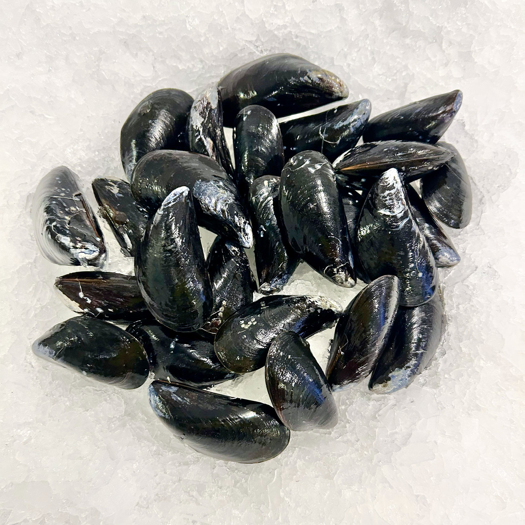 Mar Seafood Chefs Choice Mussels