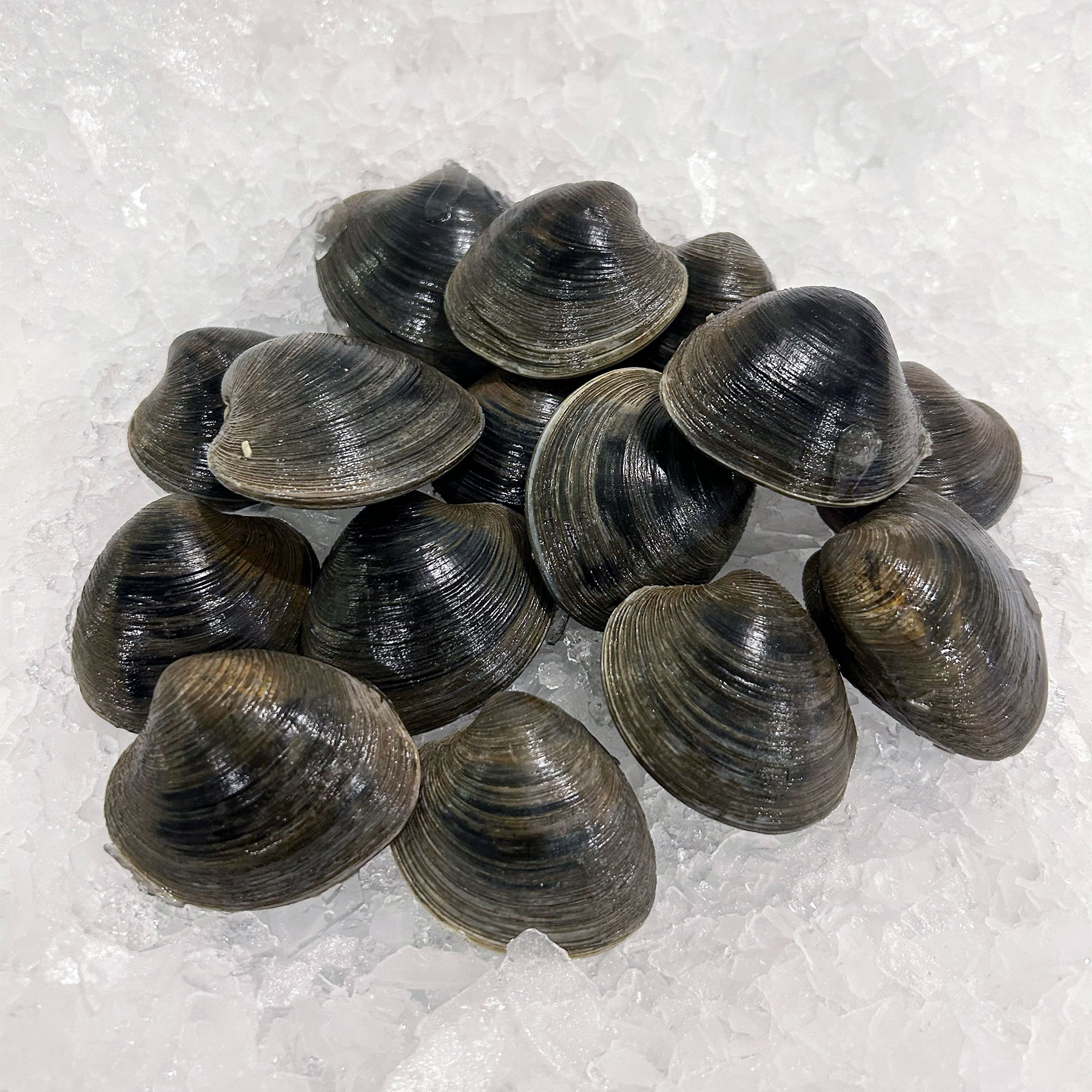 Mar Seafood Little Necks - Clams
