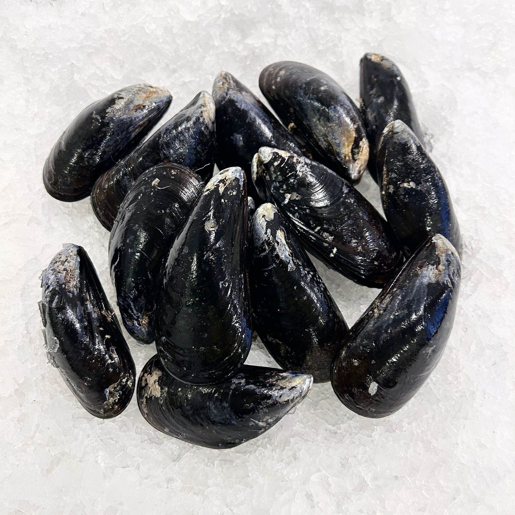 Mar Seafood New England Jumbos Mussels
